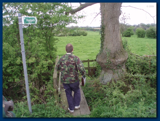 600x449 pixels (180K)